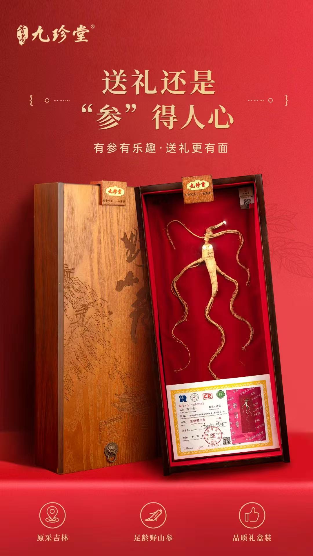九珍堂野山参木质礼盒展示